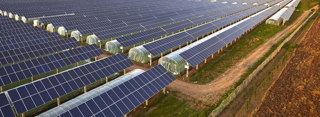 Agro photovolatic - Ballarat Solar Company